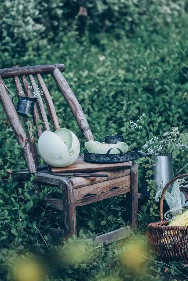 夏天在诗歌中的叫法,夏天的唯美诗词