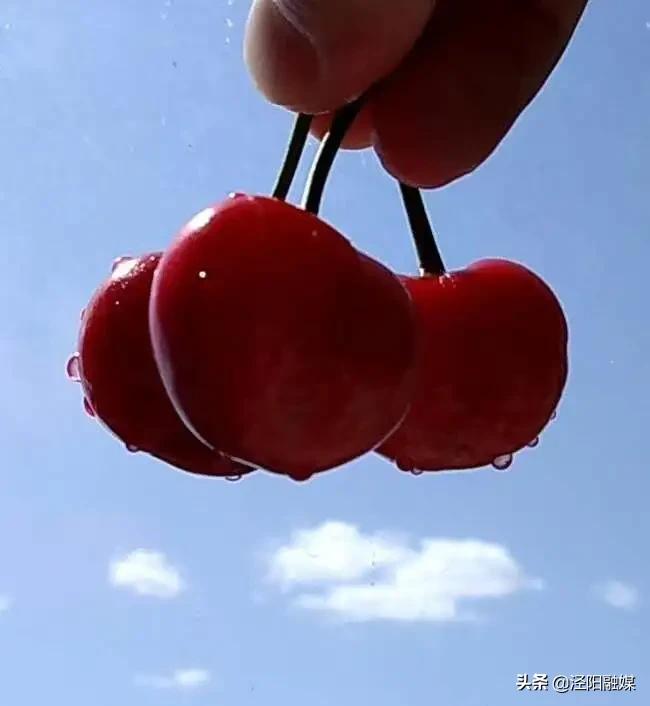 泾阳大樱桃,吃樱桃需要注意哪些事项