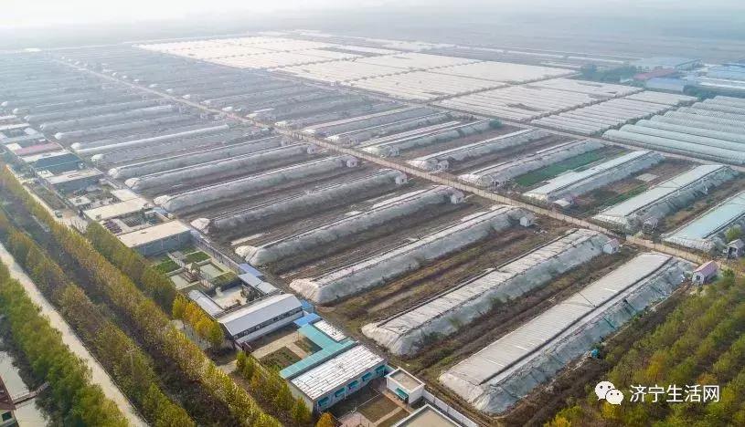 市长发话，济宁发布重大利好消息！惠及济宁800万人！