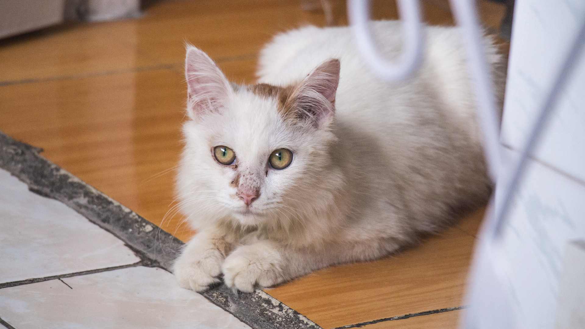 鼻炎鼻塞喷嚏流涕怎么治,鼻炎鼻塞鼻痒打喷嚏有什么好办法