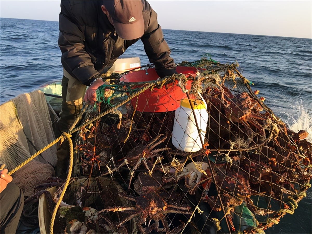 我是一个默默无闻的海钓人，但我可能吃过世界上所有的海鲜