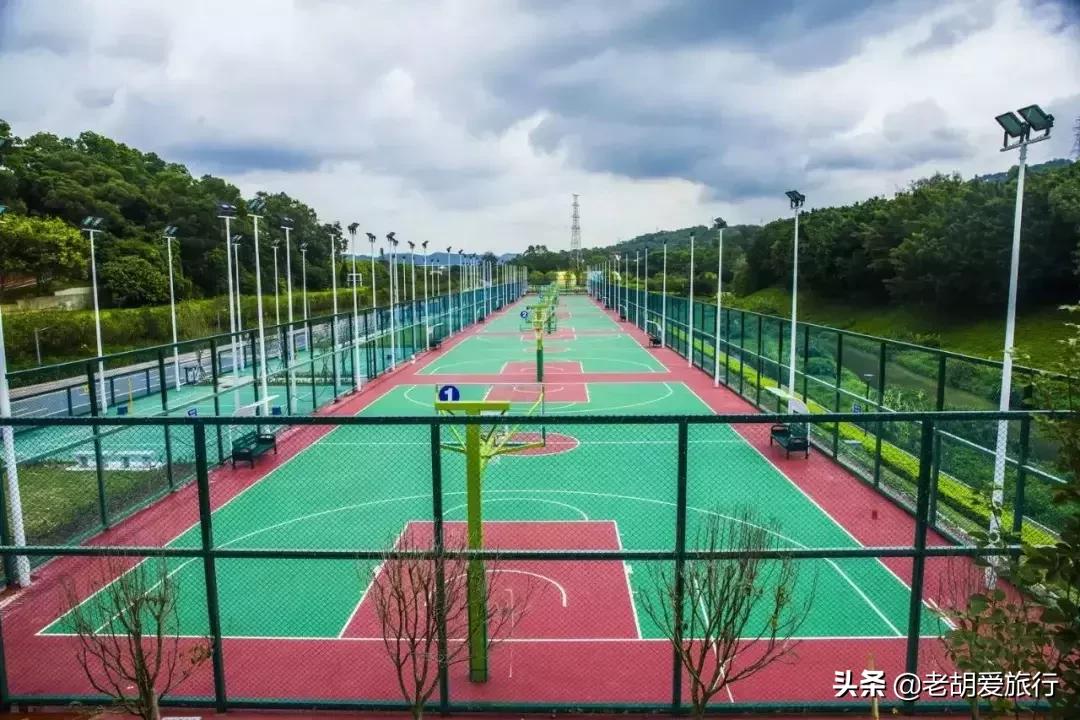 深圳周末春游好去处,深圳春游赏花去哪里好