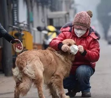 爱宠过冬知识大全,爱宠温暖过冬