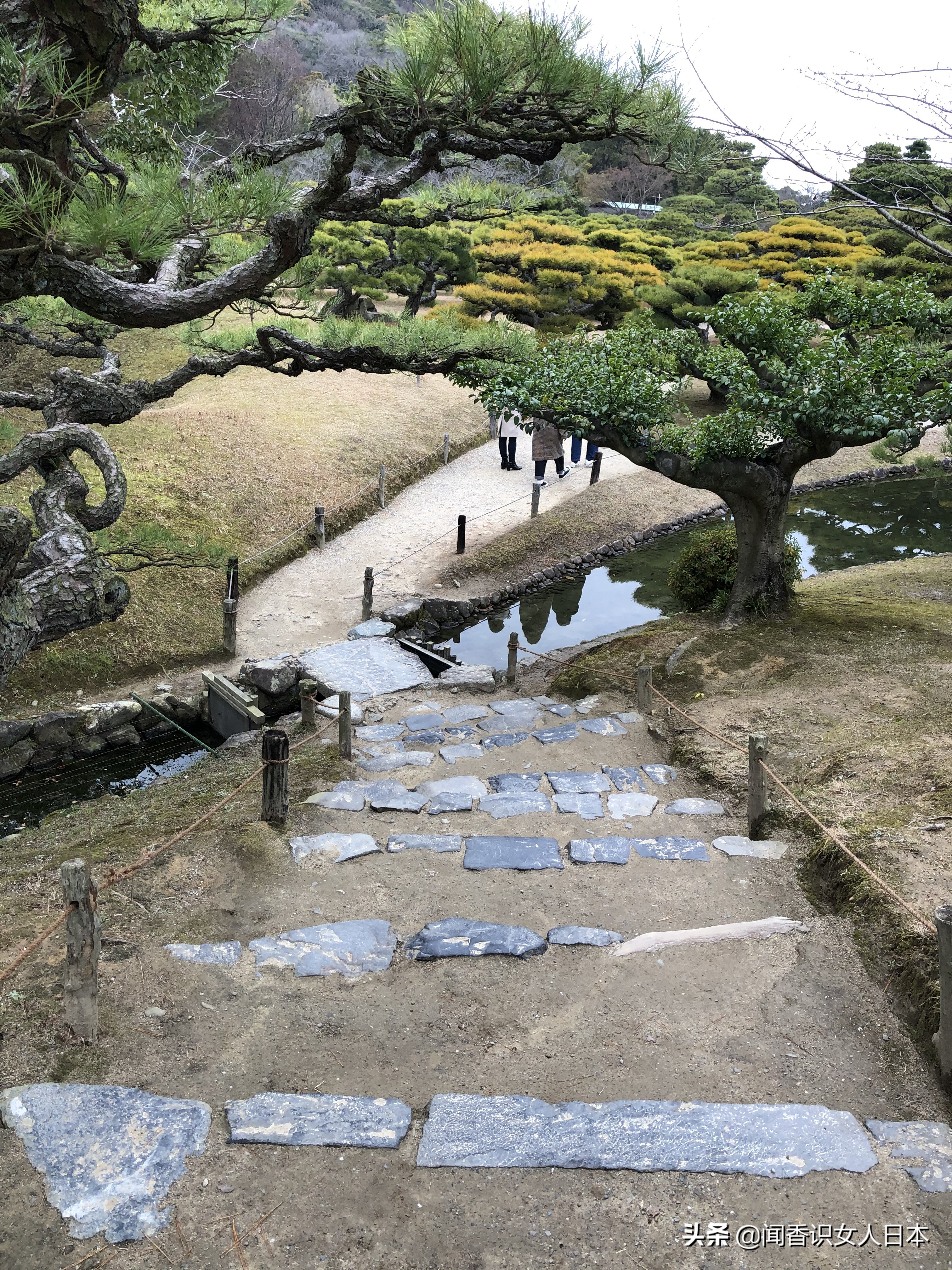 日本的米其林三星餐厅,日本米其林三星参观