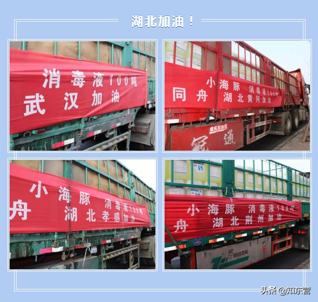 小海豚加油武汉,小海豚武汉白沙洲