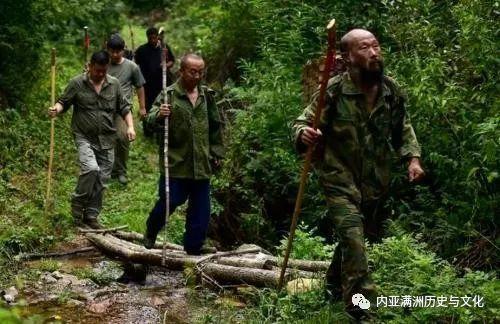 长白山挖人参真的会跑吗,长白山挖参人视频