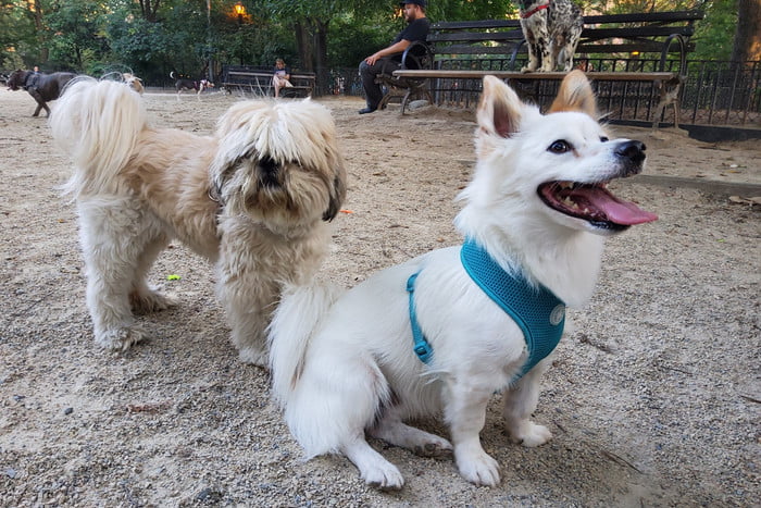 三星GalaxyTabS6评测：终于，一个不错的Android2合1设备