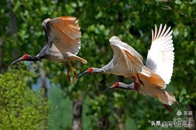 汉中户外遛娃好去处排行榜,汉中遛娃旅游景点有哪些