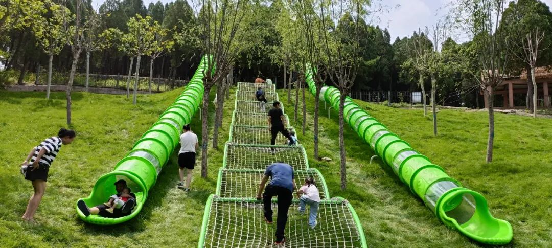 济南适合带娃去的公园,济南适合遛娃的景区