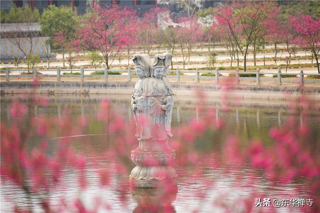 万行大和尚讲因果,万行大和尚讲开悟