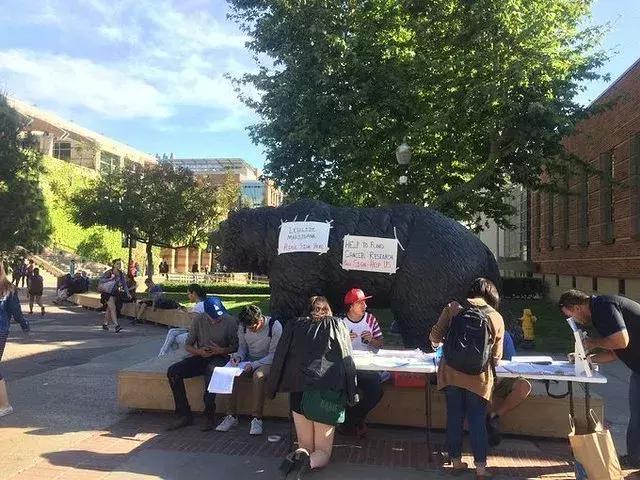 美国ucla大学是什么,美国ucla啥大学