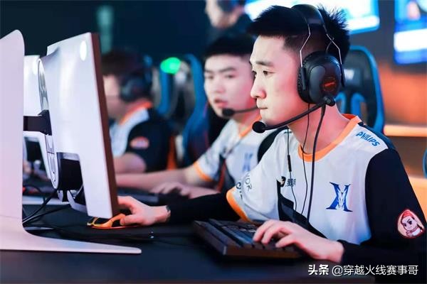 盘点初生牛犊不怕虎的幼崽,盘点初生牛犊不怕虎视频