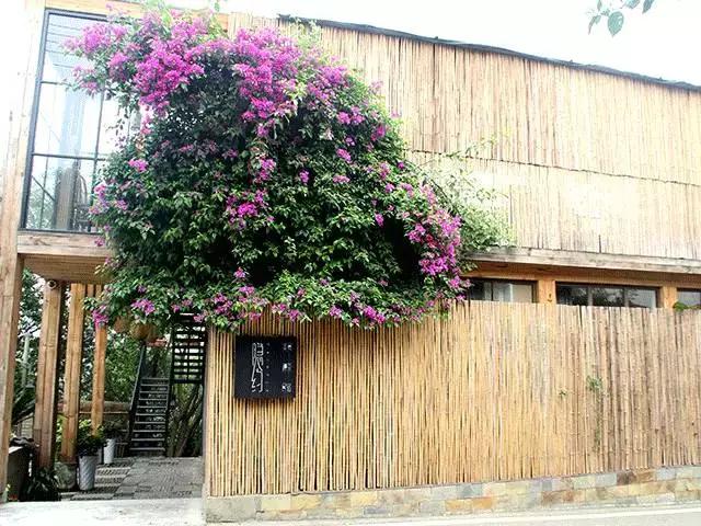 成都哪些值得去的农家乐,春季成都十大必去农家乐