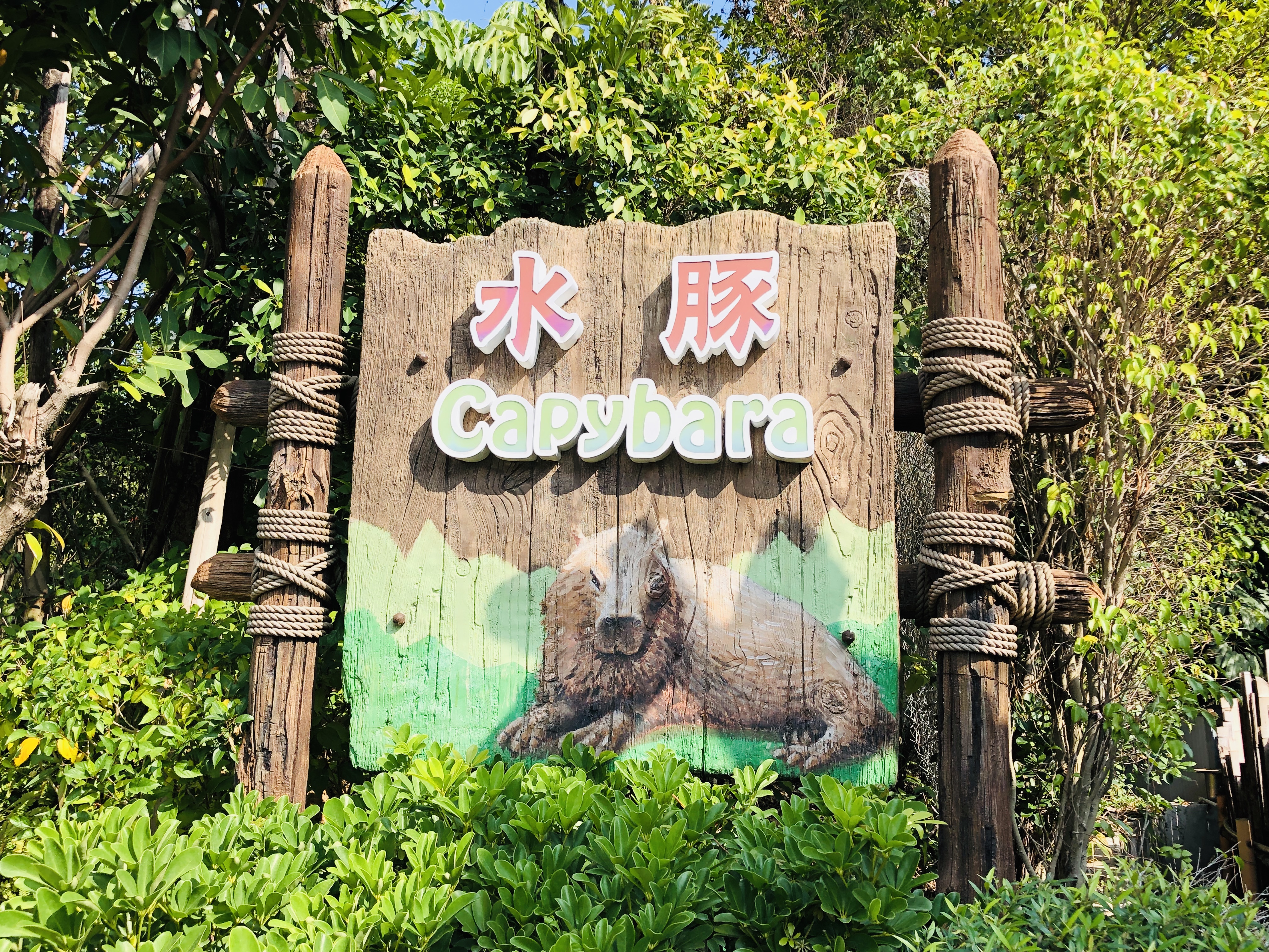 寒假带孩子去长隆玩什么,长隆寒假旅游攻略