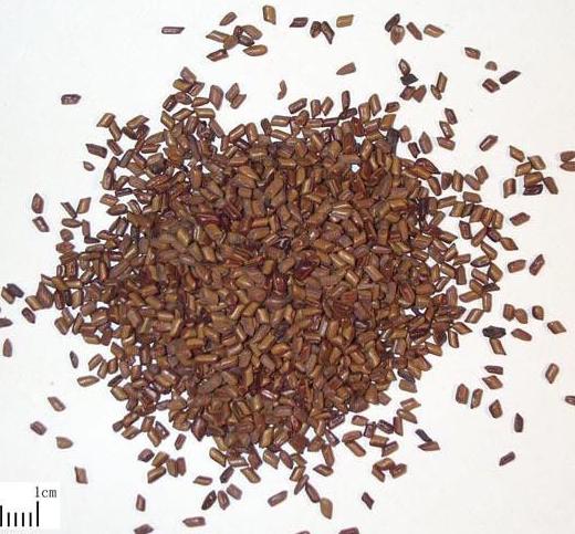 老中医可以给孩子起名吗,用中药名字给孩子取名可以吗