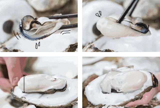 乳山牡蛎威海,威海正宗乳山牡蛎