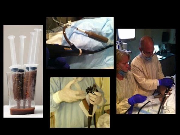 动物吃自己粪便原因,为什么动物吃掉粪便