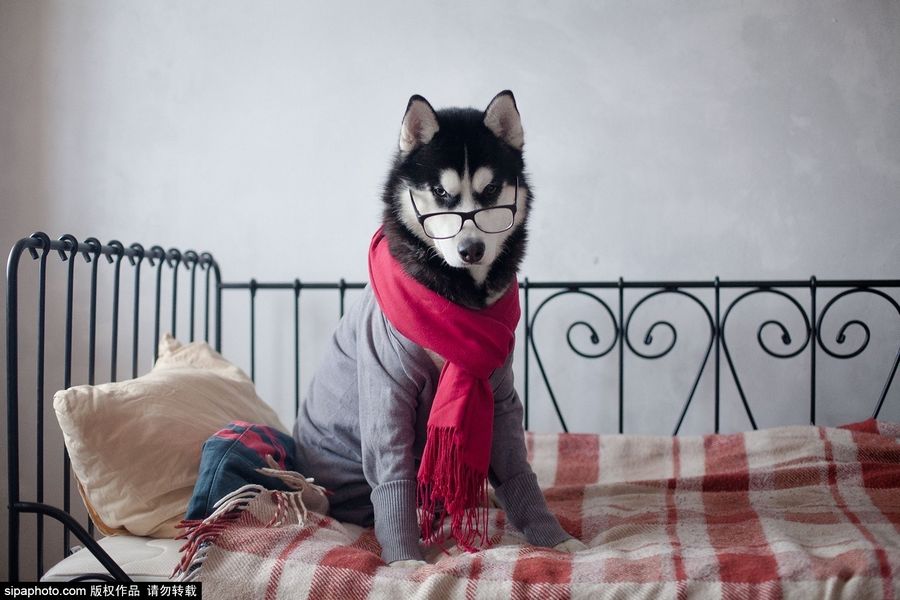 忙里偷闲乐一乐快乐无处不在,快乐无处不在忙里偷闲也要乐一乐