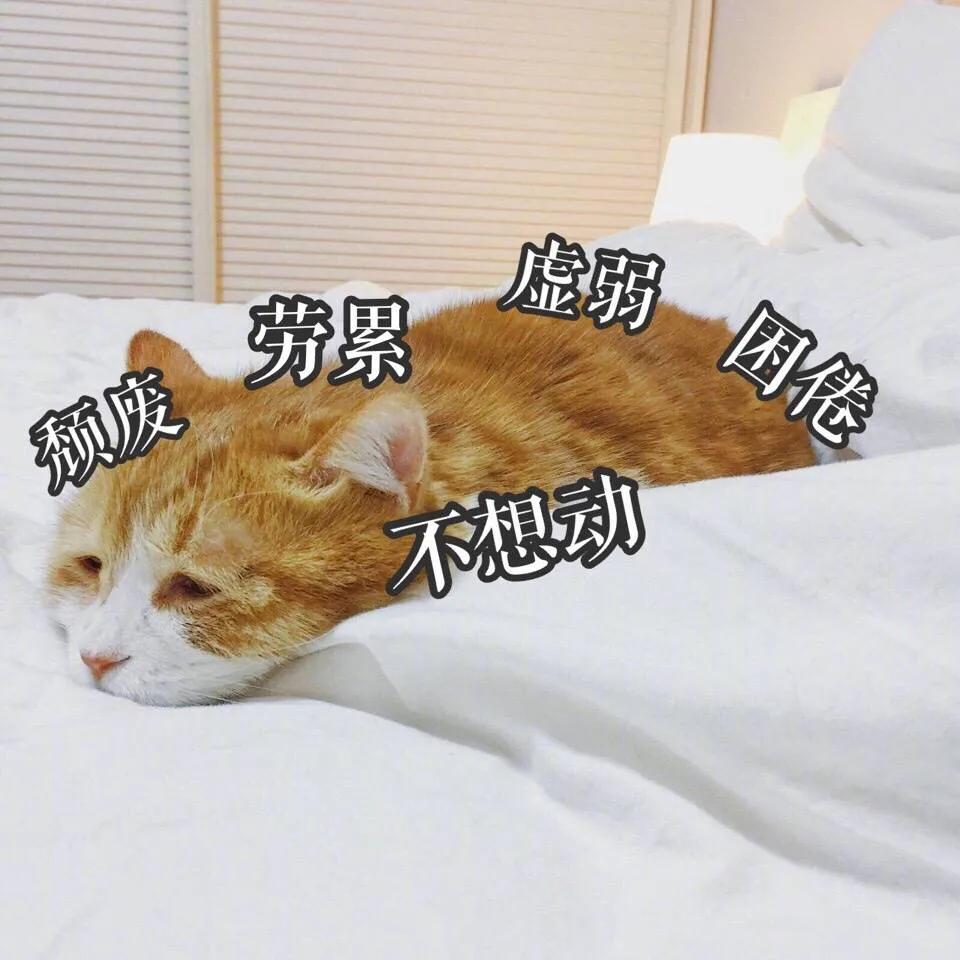 四大审计有多累,四大审计和咨询谁累