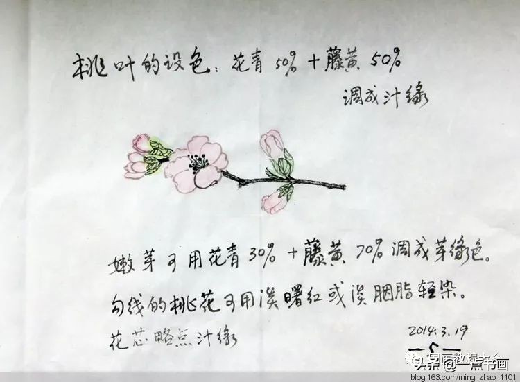 国画桃花颜色怎么调,徐湛教桃花国画画法