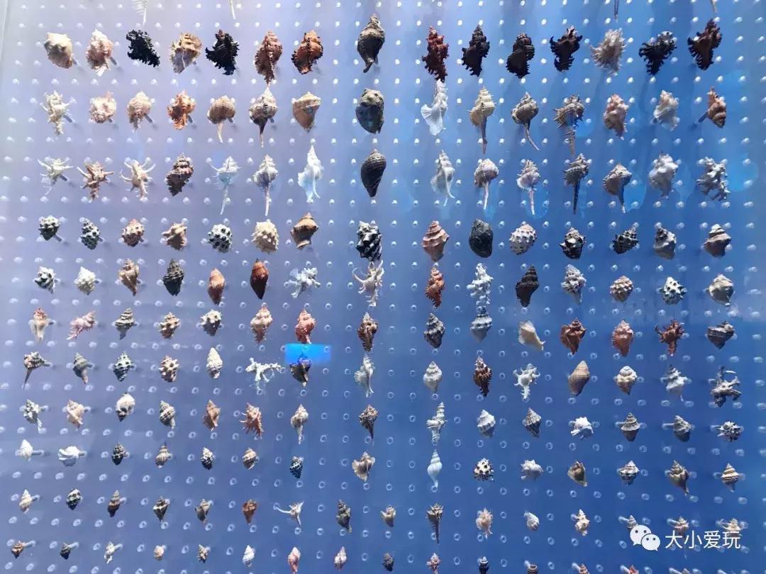 开放首日实探国家海洋博物馆，史上最抢手博物馆究竟长什么样