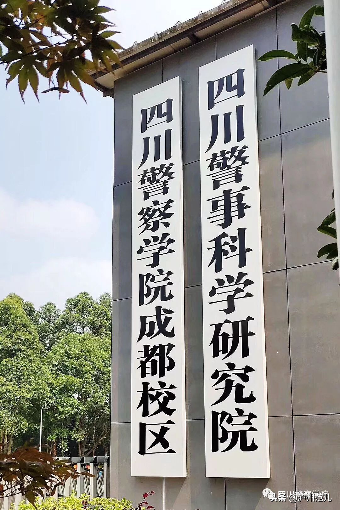 四川警察学院成都校区,四川警察学院成都校区分数线