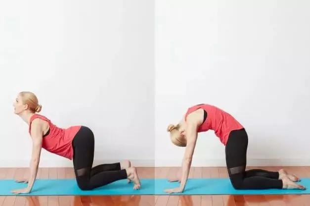 瑜伽康复理疗效果如何,瑜伽理疗有必要学吗