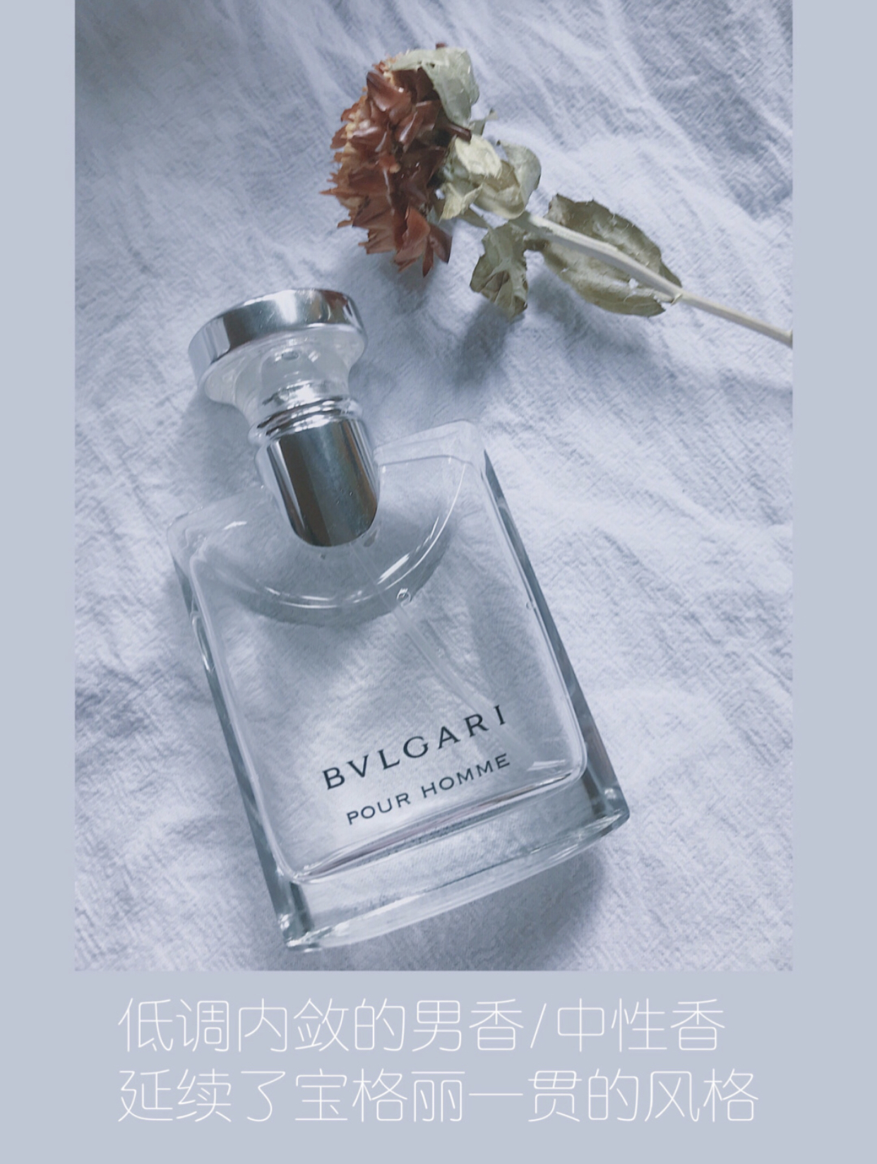 宝格丽大吉岭茶原版怎么辨别真假,宝格丽大吉岭茶夜幽味道散得快吗