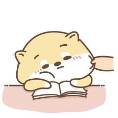 毛坯验房不可轻视的五点注意事项,毛坯房验房一般要看什么