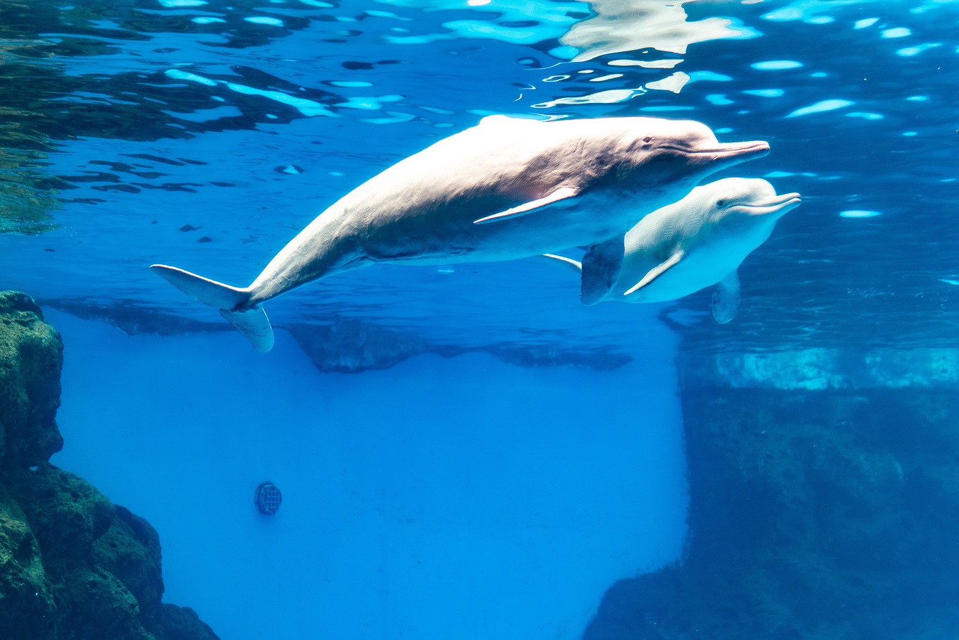 珠海长隆龙秀适合小朋友看吗,珠海长隆海洋王国值得打卡的地方