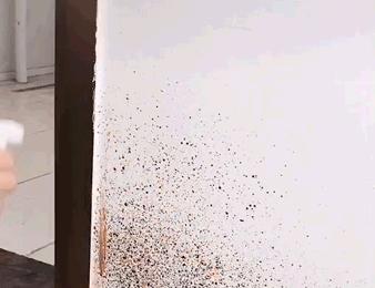 墙壁发霉怎么防止渗水,墙壁发霉怎么抹掉