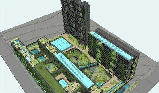 为什么考深国交,深国交与四大哪个难考