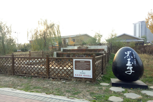 辽宁哪里的温泉最好,辽宁最好的温泉度假酒店