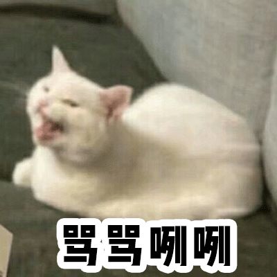 无跳跃瘦腹操,健身减肥体操教程30分钟卷腹