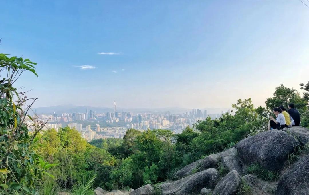 深圳首条手作“原始登山道”，人少好爬景色超美…过年去哪不用愁