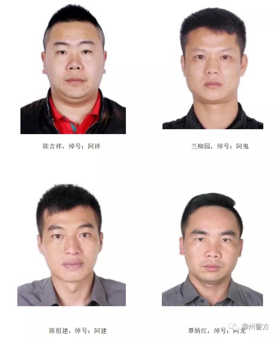 柳州警方打击黑恶势力,柳州市重大涉黑涉恶案