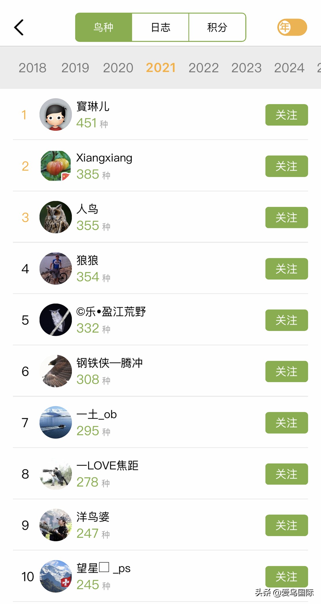 鸟类最好看的照片,100张绝美鸟类图片