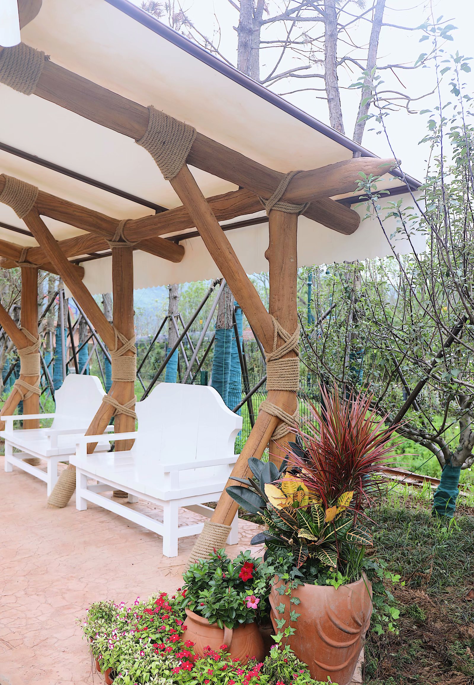 苏州乐园森林水世界几月份开始,乐园森林世界手游攻略