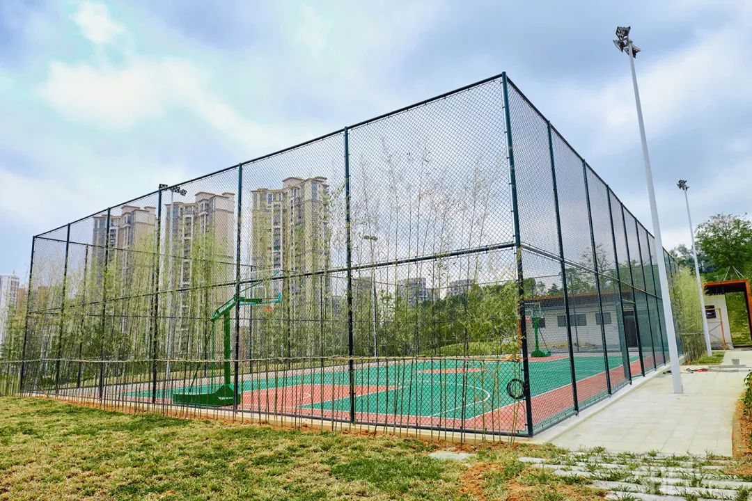 龙华新公园在哪里,深圳龙华区免费的公园