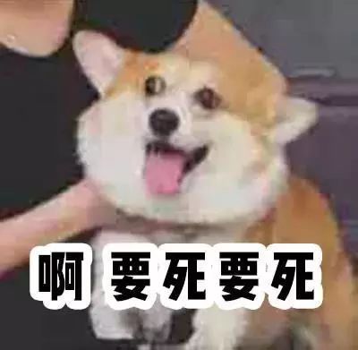 三宅一生菱格包经典色,日本菱格包三宅一生真假