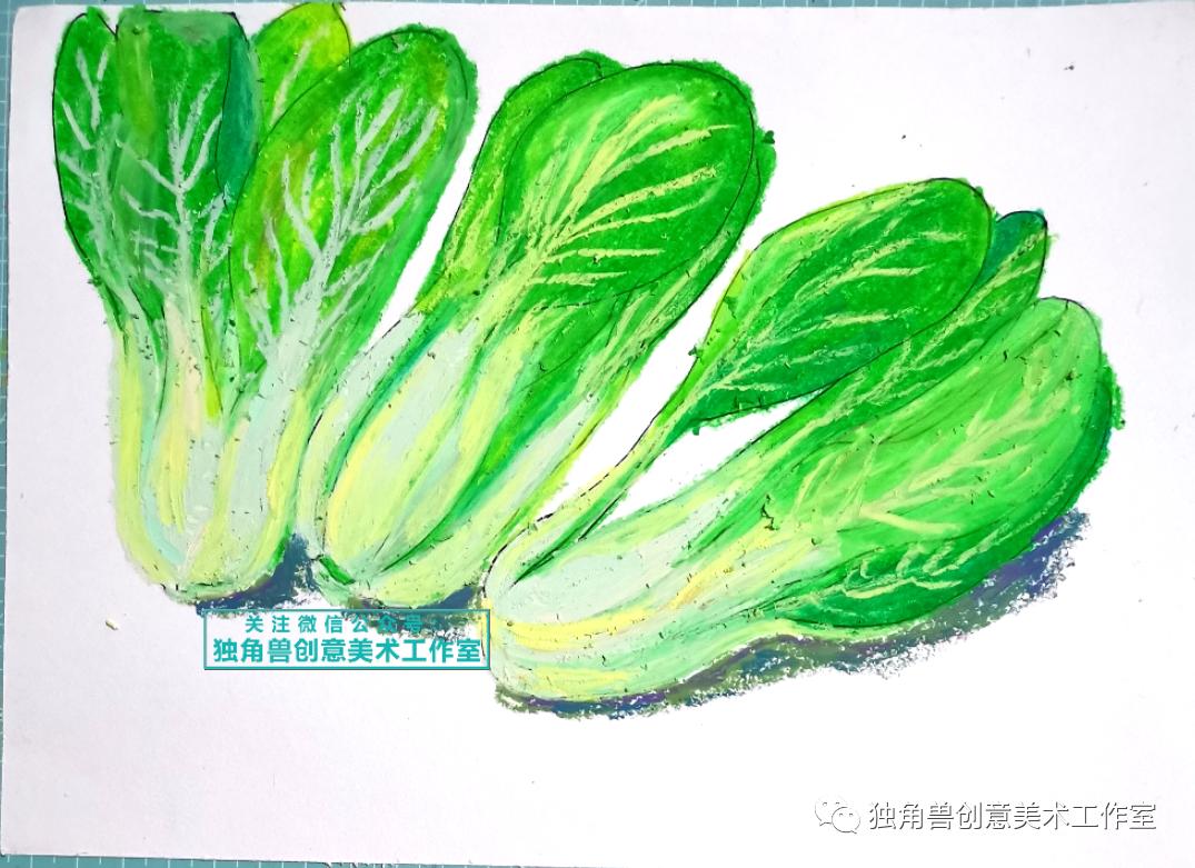 绿油油青菜绘画,蔬菜的绘画教程