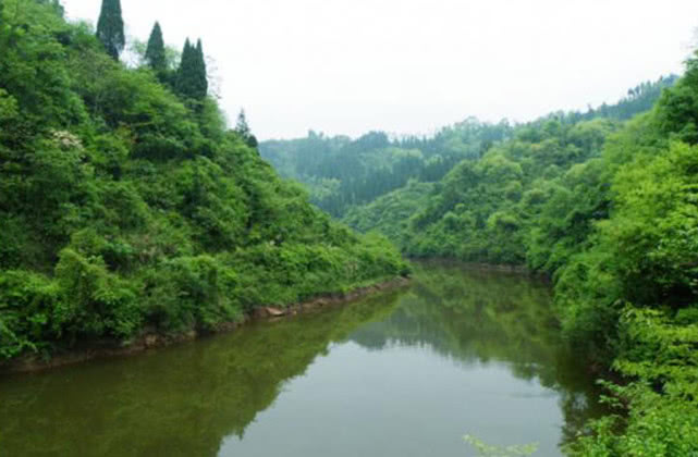 手竿钓大头鱼的最佳方法,手竿钓大头鱼的鱼饵料什么最好