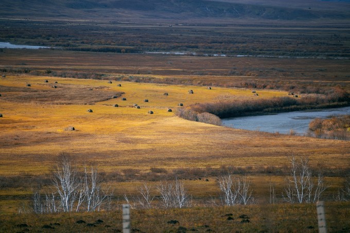 自驾呼伦贝尔|七千里路云和月,写给秋天和自己的故事