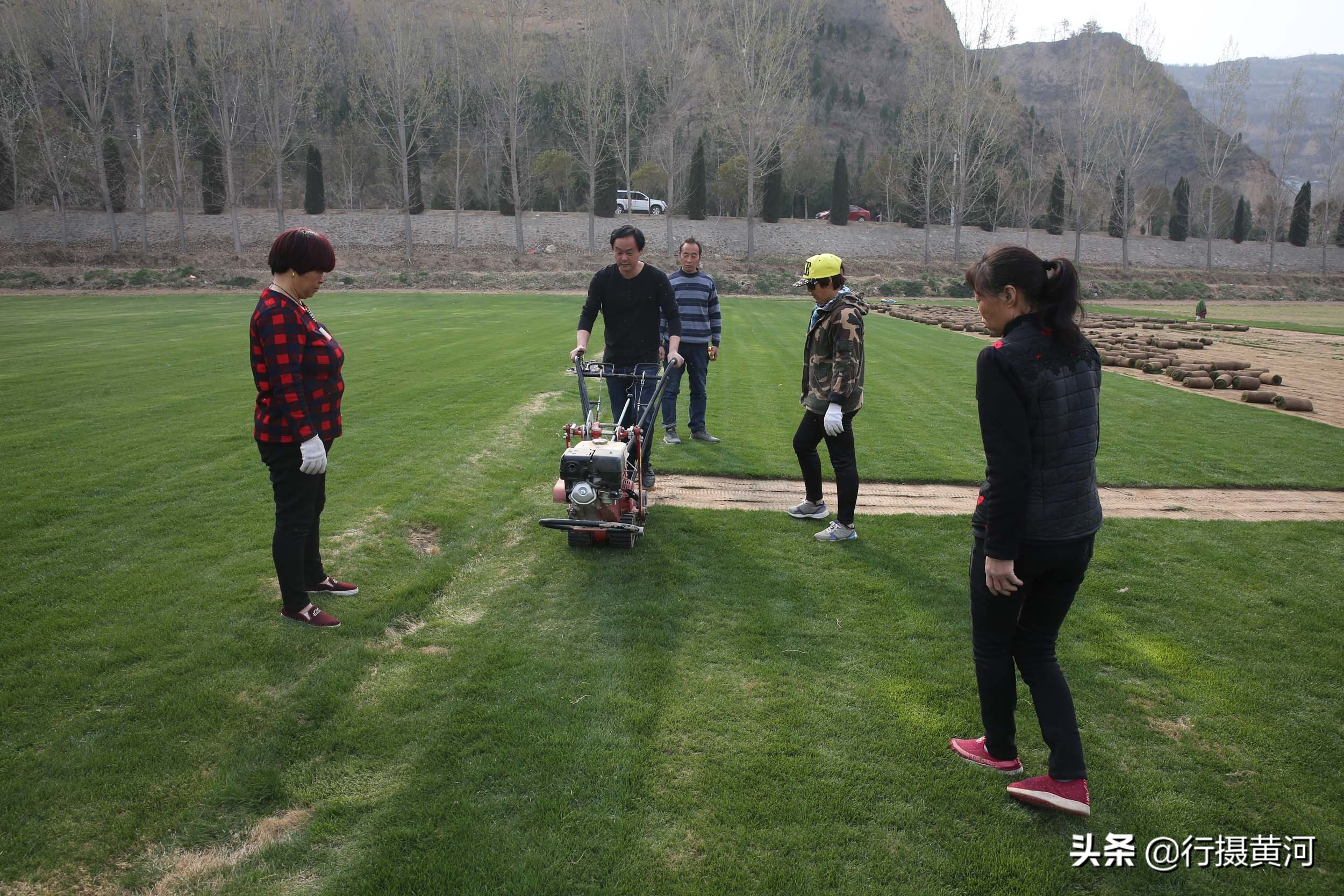 河南一小伙不务正业,小伙不务正业就想卖房卖地