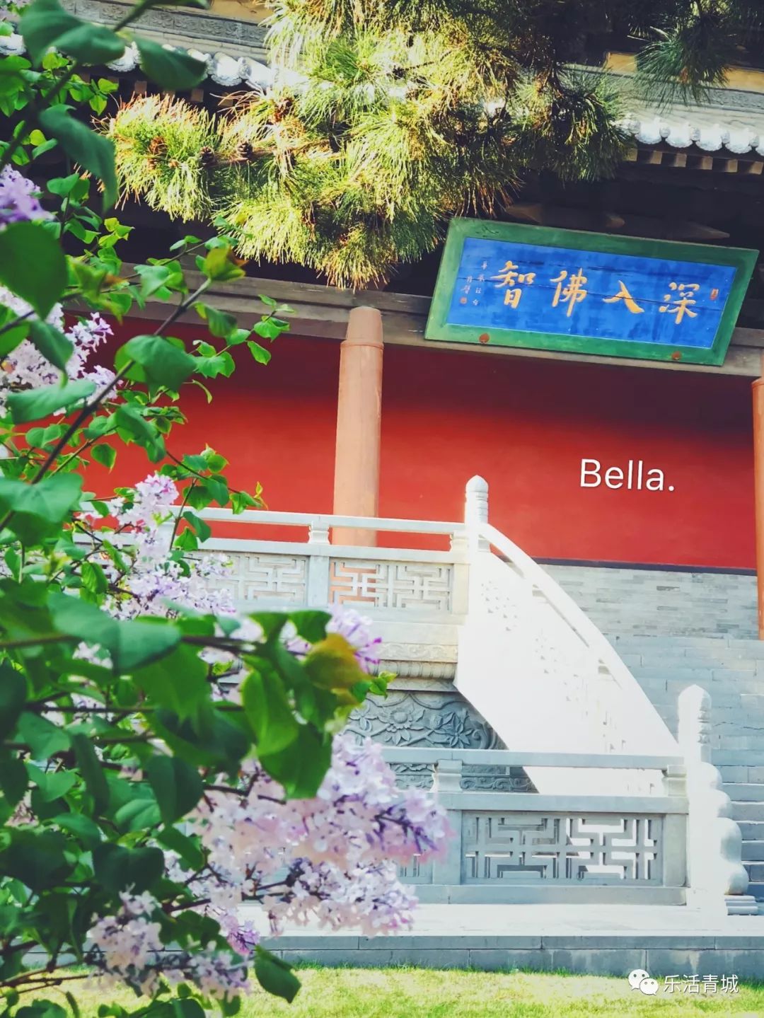 贝拉专访合集,贝拉专访完整版