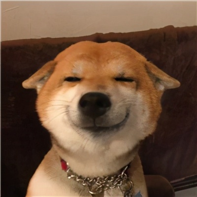 滨海生态城动物园,塘沽5块钱动物园