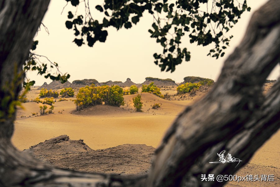 人在旅途，有感动，也有遗憾，才够回味