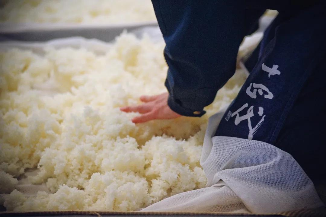 用6年时间，走访47地拜访2000人，退役后的“亚洲足球先生”中田英寿只专注做了一件事