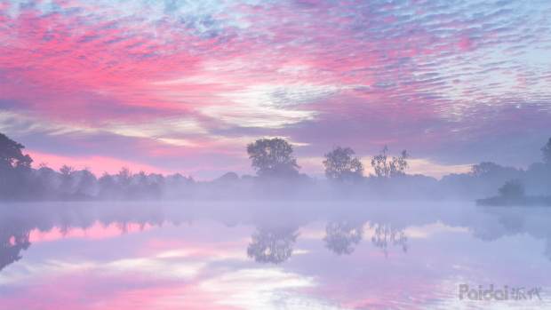 一个购物者的自白观后感,一个淘宝创业人的血泪史完整版