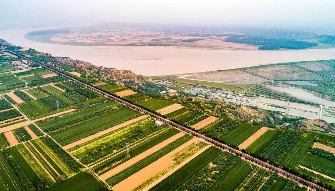 芮城大小事情,芮城现象
